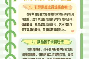 如何在训练期间保持良好的饮食习惯:科学与实践的完美结合